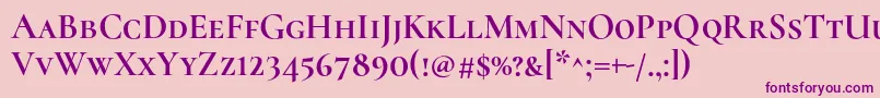 CormorantscBold Font – Purple Fonts on Pink Background