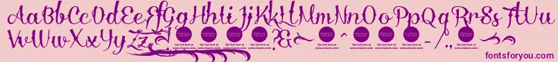 DelinquenteAltIDemo Font – Purple Fonts on Pink Background