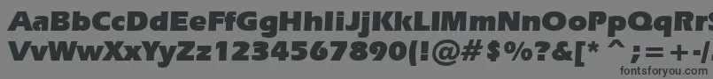 Шрифт ErasUltraBt – чёрные шрифты на сером фоне