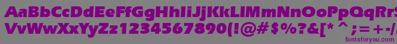 ErasUltraBt Font – Purple Fonts on Gray Background