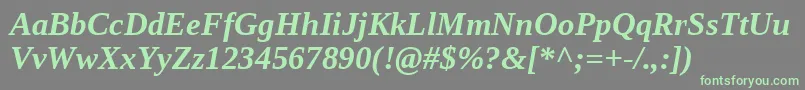 Шрифт LiberationSerifBoldItalic – зелёные шрифты на сером фоне