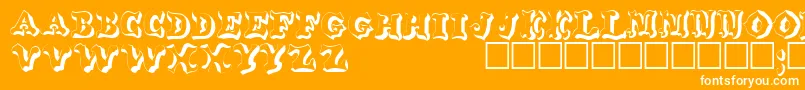WahoodisplaycapssskRegular-fontti – valkoiset fontit oranssilla taustalla