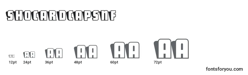 ShoCardcapsnf (83065) Font Sizes