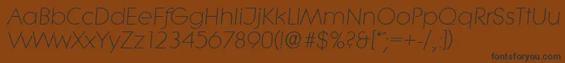 LiteraserialLightItalic Font – Black Fonts on Brown Background