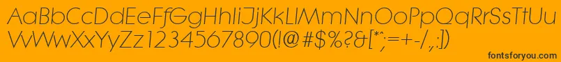 LiteraserialLightItalic Font – Black Fonts on Orange Background