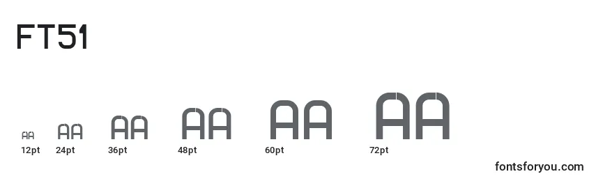 Ft51 Font Sizes