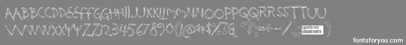 Holysmok Font – White Fonts on Gray Background