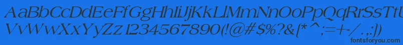 BroadsheetLdoItalic Font – Black Fonts on Blue Background