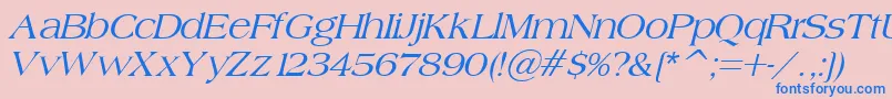 BroadsheetLdoItalic Font – Blue Fonts on Pink Background