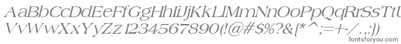 BroadsheetLdoItalic Font – Gray Fonts on White Background