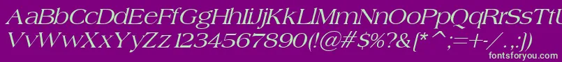 BroadsheetLdoItalic-Schriftart – Grüne Schriften auf violettem Hintergrund