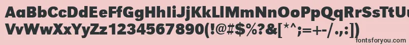 UrwgrotesktnarBold Font – Black Fonts on Pink Background