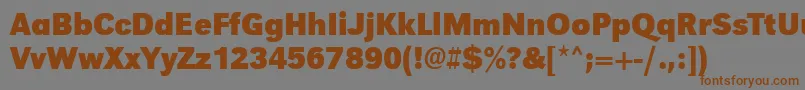 UrwgrotesktnarBold Font – Brown Fonts on Gray Background