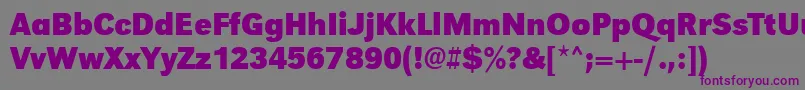 UrwgrotesktnarBold Font – Purple Fonts on Gray Background