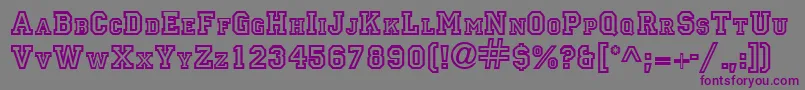 PrincipalRegularDb Font – Purple Fonts on Gray Background