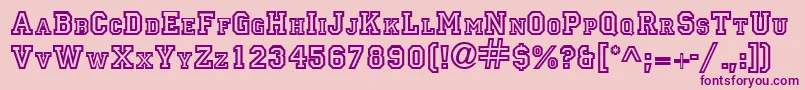PrincipalRegularDb-Schriftart – Violette Schriften auf rosa Hintergrund