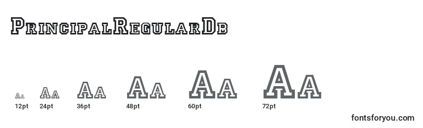 Размеры шрифта PrincipalRegularDb