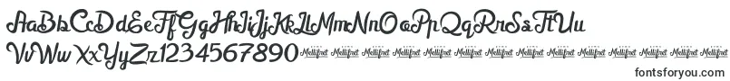 Шрифт MellifretDemo – шрифты для Adobe Premiere Pro