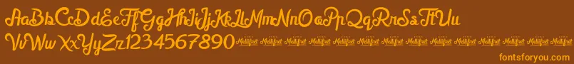 MellifretDemo-Schriftart – Orangefarbene Schriften auf braunem Hintergrund