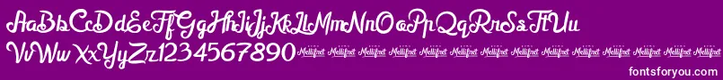 MellifretDemo Font – White Fonts on Purple Background