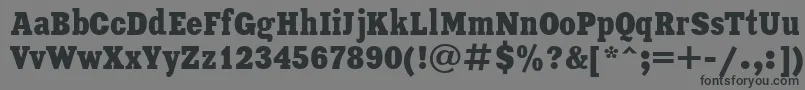 フォントXeniaCondensedCyrillic – 黒い文字の灰色の背景