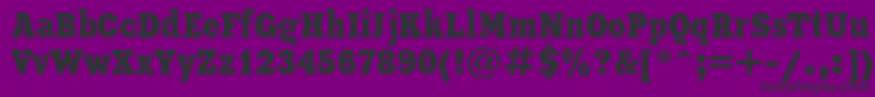 XeniaCondensedCyrillic Font – Black Fonts on Purple Background