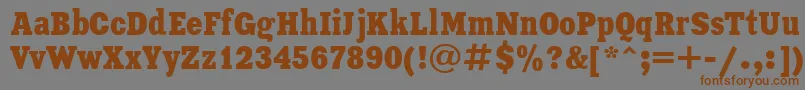 XeniaCondensedCyrillic-fontti – ruskeat fontit harmaalla taustalla