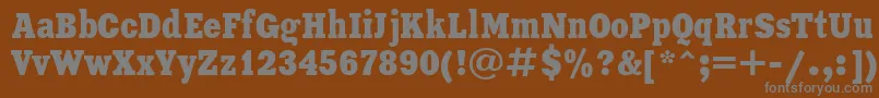 XeniaCondensedCyrillic Font – Gray Fonts on Brown Background