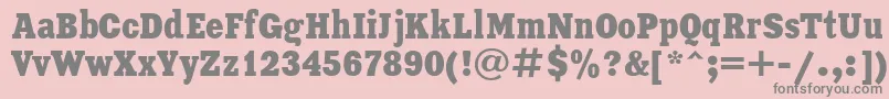 Czcionka XeniaCondensedCyrillic – szare czcionki na różowym tle