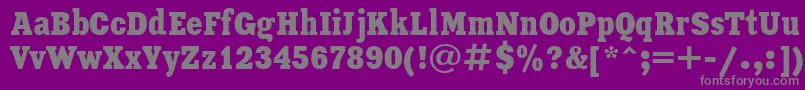 Шрифт XeniaCondensedCyrillic – серые шрифты на фиолетовом фоне