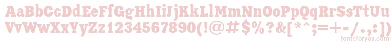 Шрифт XeniaCondensedCyrillic – розовые шрифты на белом фоне