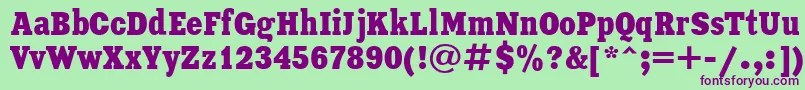 XeniaCondensedCyrillic-Schriftart – Violette Schriften auf grünem Hintergrund