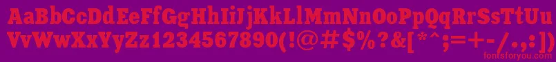 XeniaCondensedCyrillic Font – Red Fonts on Purple Background