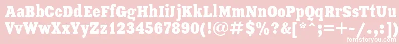 フォントXeniaCondensedCyrillic – ピンクの背景に白い文字