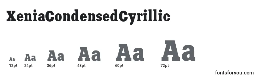 XeniaCondensedCyrillic Font Sizes