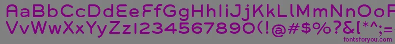 Шрифт Grover – фиолетовые шрифты на сером фоне