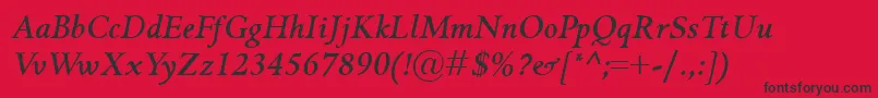 Czcionka GriffoclassicoBolditalic – czarne czcionki na czerwonym tle