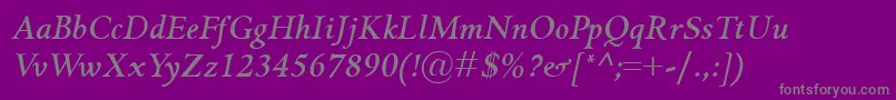 GriffoclassicoBolditalic Font – Gray Fonts on Purple Background