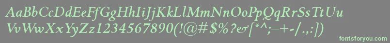 GriffoclassicoBolditalic Font – Green Fonts on Gray Background
