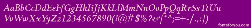 GriffoclassicoBolditalic Font – Pink Fonts on Purple Background