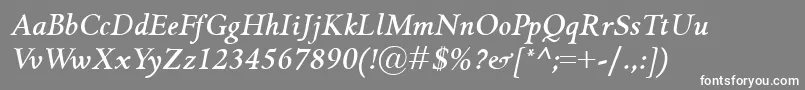 GriffoclassicoBolditalic Font – White Fonts on Gray Background