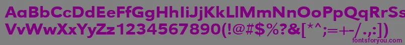Urwgrotesktmedextwid Font – Purple Fonts on Gray Background