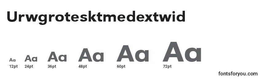 Размеры шрифта Urwgrotesktmedextwid