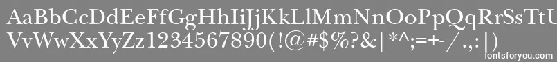 フォントNewbaskervilleett – 灰色の背景に白い文字