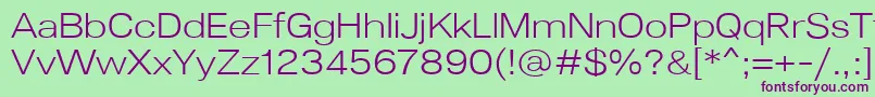 Lunchtype24LightExpanded Font – Purple Fonts on Green Background