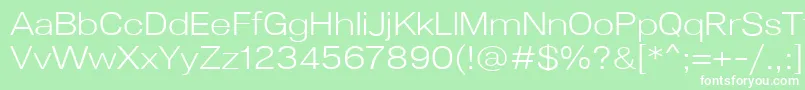 Lunchtype24LightExpanded Font – White Fonts on Green Background