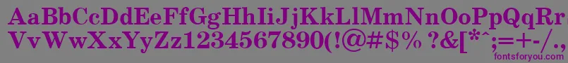 SchoolBold.001.001 Font – Purple Fonts on Gray Background