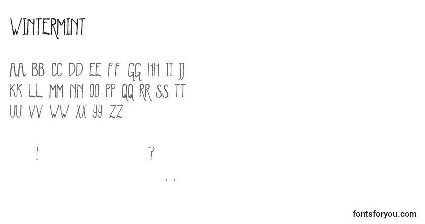 Czcionka WinterMint – alfabet, cyfry, specjalne znaki