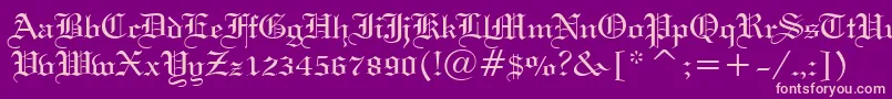 Wedtxtn Font – Pink Fonts on Purple Background