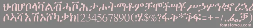 フォントGeeztimesssk – 灰色の背景にピンクのフォント